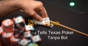 proplay88